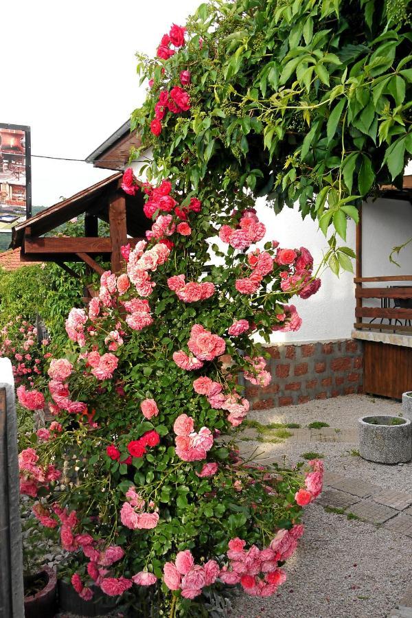 Guest House Medina Belogradchik Exterior photo