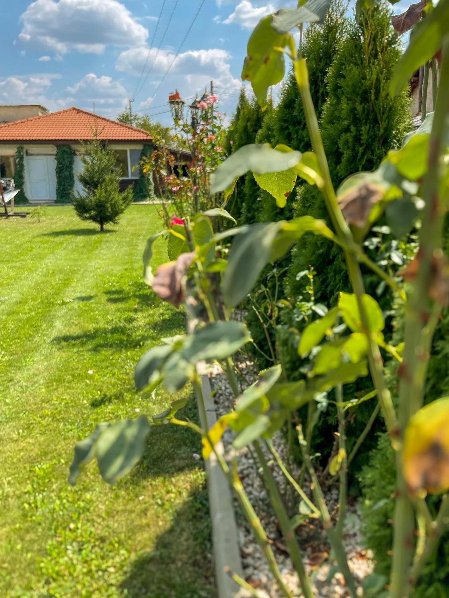 Guest House Medina Belogradchik Exterior photo